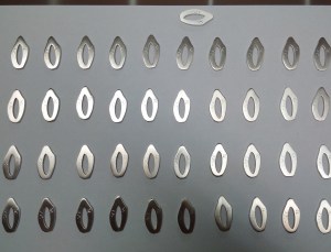 IMG_20150805_165345_edit